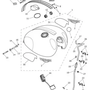 Triumph Scrambler 1200 XE AC8499 > Fuel Tank Assembly - T2401685-HN